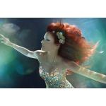20-11-2013 - mcs_marketing - Andrea Berg - 1.jpg